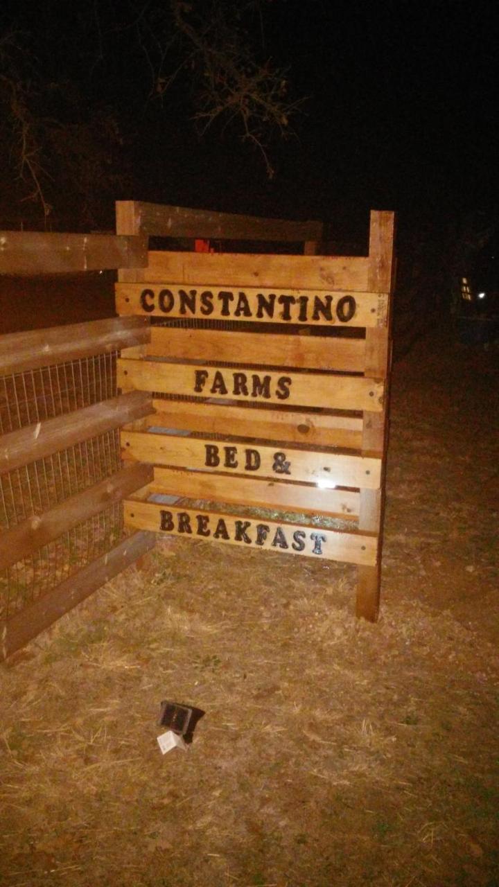 Constantino Farms Bed&Breakfast Dublin Exterior foto